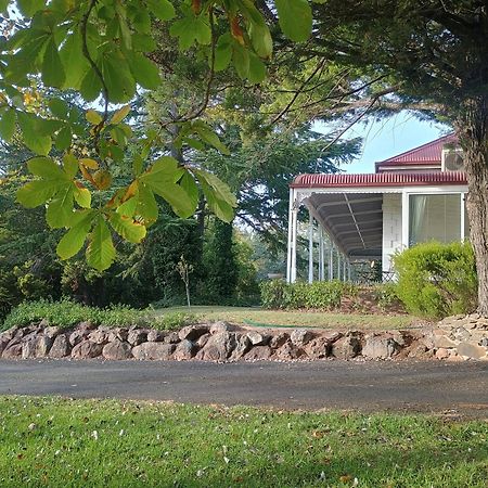 Moore Park Inn Armidale Eksteriør billede