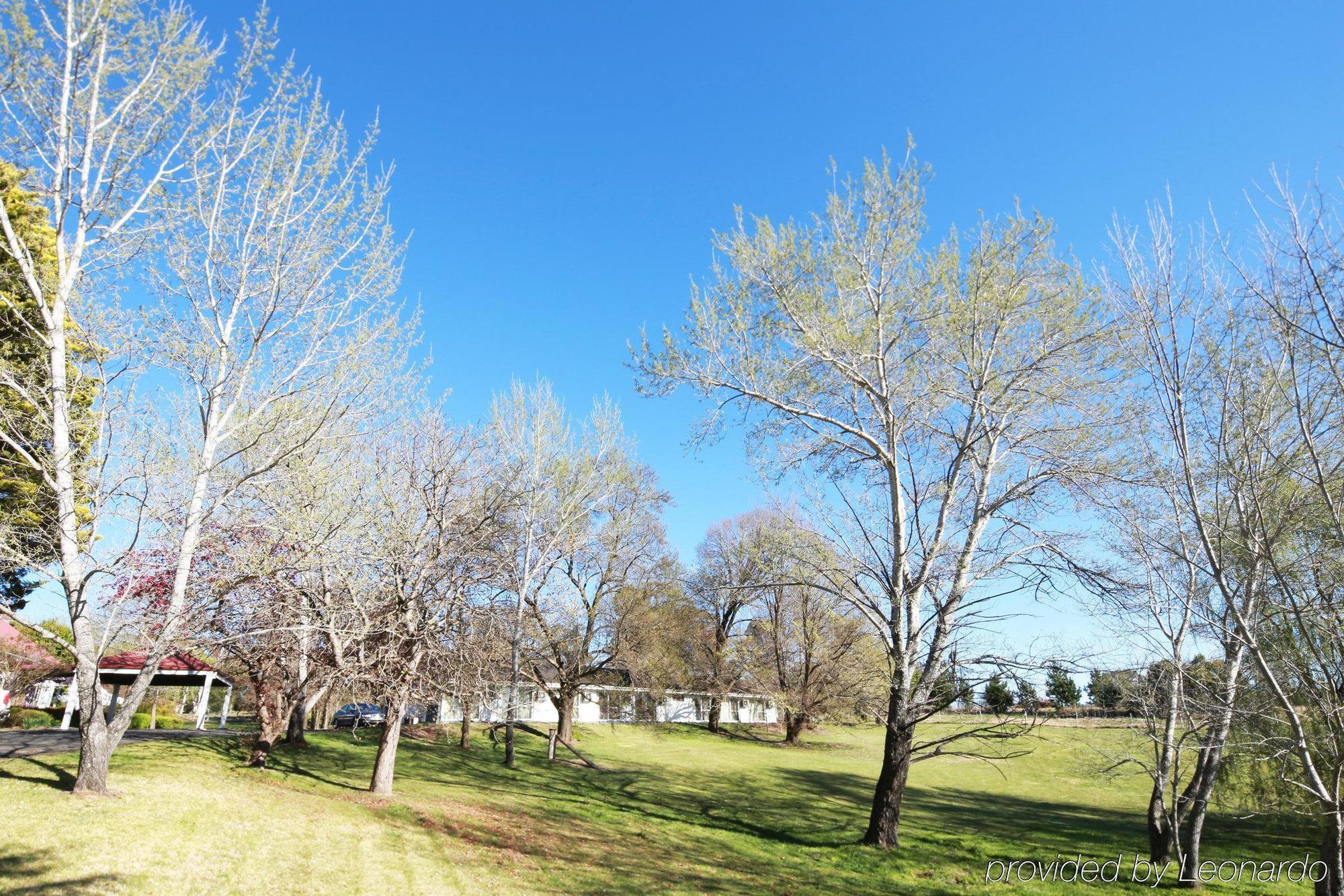 Moore Park Inn Armidale Eksteriør billede