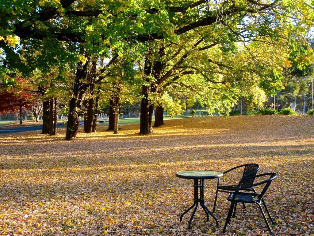 Moore Park Inn Armidale Eksteriør billede