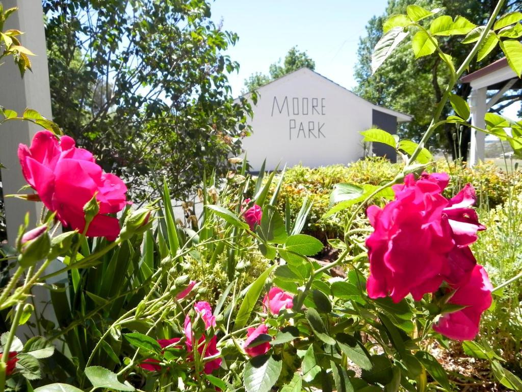 Moore Park Inn Armidale Eksteriør billede